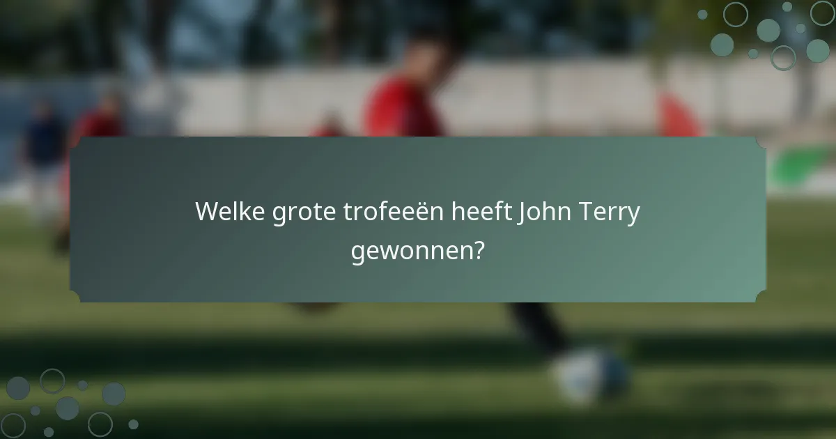 Welke grote trofeeën heeft John Terry gewonnen?